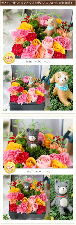 キャンペーンもお見逃しなく 冷蔵便 でお届け ボックスフラワー アレンジメント 生花 Hanacube フラワーボックス フラワーギフト 誕生日 プレゼント 女性 母 花 退職祝い 結婚祝い お祝い Shipsctc Org