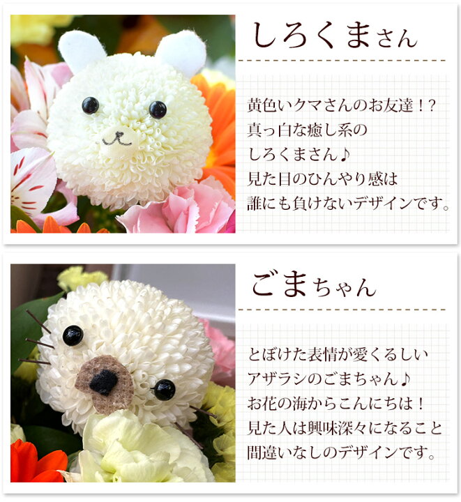 楽天市場 フラワーアレンジメント 生花 6種類の動物から選べる アニマルアレンジ Mサイズ アレンジメントフラワー ギフト お誕生日 お花 誕生日 プレゼント 女性 パンダ うさぎ くま 犬 猫好き 子供 女の子 母 結婚祝い 発表会 出産祝い 結婚記念日 お祝い 卒園式