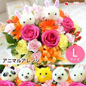 お誕生日 フラワーアレンジメントの人気商品 通販 価格比較 価格 Com