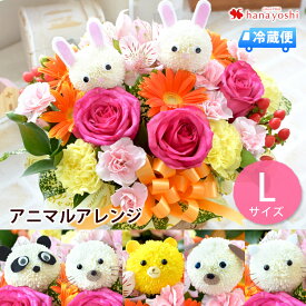 楽天市場 出産祝い 女の子 花 ガーデン Diy の通販