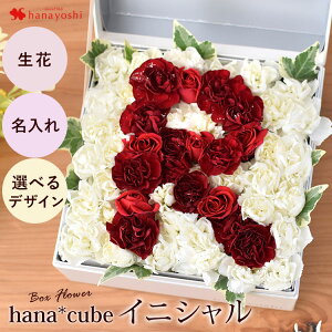 {bNXt[  hana cube  Ԃł io[ CjV n[g  t[AWg  a a v[g Mtg   җ Ê  Ď P S