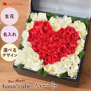 {bNXt[  hana cube  Ԃł io[ CjV n[g  t[AWg  a a v[g Mtg   җ Ê  Ď P S