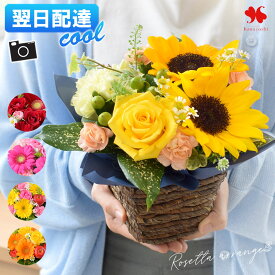 [冷蔵便]でお届け 花 アレンジメント 翌日配達 季節のおまかせ 生花 アレンジ ロゼッタ 誕生日 フラワーアレンジメント アレンジメントフラワー プレゼント ギフト おしゃれ オシャレ お誕生日 お祝い 女性 結婚祝い 出産祝い 退職祝い 父の日