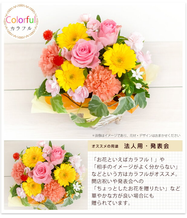 代引き不可 クール便代も送料無料 花ギフト 季節のおまかせフラワーアレンジメントSSサイズ 誕生日プレゼント 退院祝い 記念日 rmladv.com.br 代引き不可 クール便代も送料無料 花ギフト 季節のおまかせフラワーアレンジメントSSサイズ 誕生日プレゼント 退院祝い 記念日 rmladv.com.br