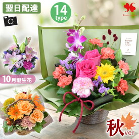 翌日配達 誕生日 花 アレンジメント 季節の お花 フラワーアレンジメント ギフト アレンジ バルーン付も お祝い お誕生日 お花 プレゼント 贈り物 結婚祝い 結婚記念日 開店祝い 新築祝い 出産祝い 女性 おしゃれ 生花 記念日 秋 発表会 展覧会 生花アレンジ 花由 送料無料