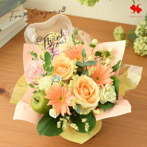 zB  AWg v[g G߂̂܂  AW o[ t[AWg  j a a  FB  Mtg N ސEj JXj