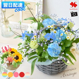 [冷蔵便]でお届け 翌日配達 フラワーアレンジメント 季節の 花 おまかせ 生花 アレンジ 「ルミナス」 ギフト 誕生日 プレゼント 女性 アレンジメント お誕生日 お祝い お花 おしゃれ オシャレ 結婚祝い 結婚記念日 贈り物 バラ 退職祝い 送別 父の日
