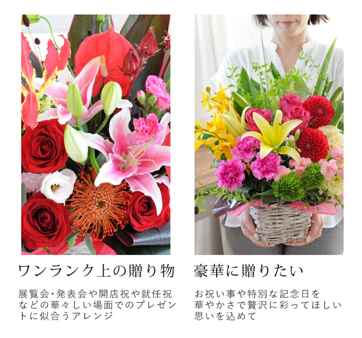 楽天市場 あす楽12時まで受付 フラワーアレンジメントバラと季節の花 おまかせ生花アレンジ Llサイズ画像配信 開店祝い 花 開業祝い おしゃれ 法人 周年祝い 誕生日 プレゼント 母 祖母 女性 アレンジメント お誕生日 お花 フラワーギフト 退職祝い 定年 結婚記念日 妻