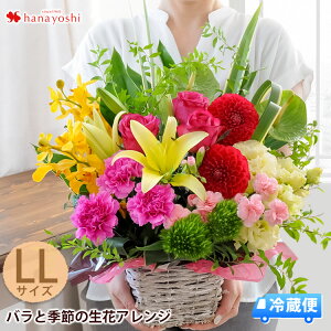 周年 祝い 花 おしゃれの人気商品 通販 価格比較 価格 Com