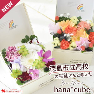 sZ̐kƍl {bNXt[  hana cube x IRP Xt[ Ȃ  a v[g ̓ a  t[Mtg AW  j t