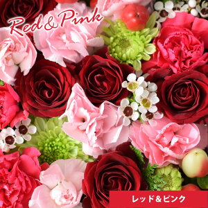 [①] Ή {bNXt[  hana cube  t[AWg a v[g   a  t[Mtg    j ̓ t[