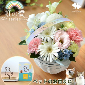 zB  ybg   ybgɑ ԃAWg ܂ ԑ ̂܂܃u[P IׂűV[Yv ̋ ybg{  Mtg u[P  