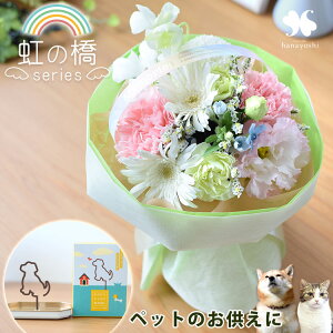 zB  ybg   ybgɑ ԃAWg ܂ ԑ ̂܂܃u[P IׂűV[Yv ̋ ybg{  Mtg u[P  