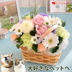 楽天市場 花 ガーデン Diy イベント 祝日お悔やみ 葬儀 の通販