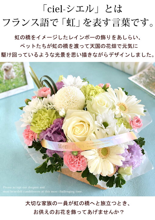 楽天市場 クール便でお届け お供え ペット 花 ペットに贈るお供え生花アレンジメント Ciel シエル 御供 虹の橋 ペット供養 お供え お悔やみ お花 お供え花 法事 お供え物 一周忌 三回忌 命日 花 ペットロス 喪中見舞い 花 ギフト お盆 お彼岸 即日発送 冷蔵便 楽天市場 クール便でお届け お供え ペット 花 ペットに贈るお供え生花アレンジメント Ciel シエル 御供 虹の橋 ペット供養 お供え お悔やみ お花 お供え花 法事 お供え物 一周忌 三回忌 命日 花 ペットロス 喪中見舞い 花 ギフト お盆 お彼岸 即日発送 冷蔵便