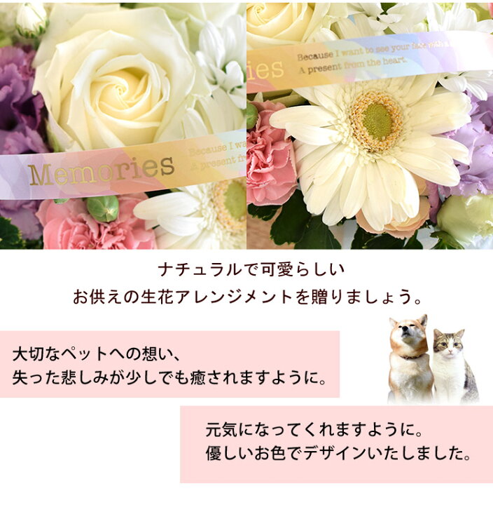楽天市場 お供え ペット 花 ペットに贈るお供え生花アレンジメント Ciel シエル 御供 虹の橋 ペット供養 お供え お悔やみ お花 お供え花 法事 お供え物 一周忌 三回忌 命日 花 ペットロス 喪中見舞い 花 ギフト お盆 お彼岸 即日発送 フラワーマーケット花由