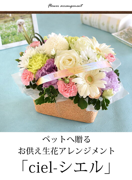 楽天市場 お供え ペット 花 ペットに贈るお供え生花アレンジメント Ciel シエル 御供 虹の橋 ペット供養 お供え お悔やみ お花 お供え花 法事 お供え物 一周忌 三回忌 命日 花 ペットロス 喪中見舞い 花 ギフト お盆 お彼岸 即日発送 フラワーマーケット花由 楽天市場 お供え ペット 花 ペットに贈るお供え生花アレンジメント Ciel シエル 御供 虹の橋 ペット供養 お供え お悔やみ お花 お供え花 法事 お供え物 一周忌 三回忌 命日 花 ペットロス 喪中見舞い 花 ギフト お盆 お彼岸 即日発送 フラワーマーケット花由