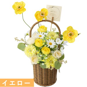  A[eBtBVt[ un~OoXPbgv Iׂ3 ؍ ؗ  CeA AW Mtg  CeA  AWg a v[g  