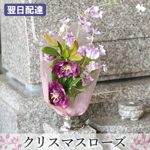     p uԁvA[eBtBVt[ 6 2ȏő1zɌ遄 ͂Ȃ ԑ Q   蕨  Mtg @ 