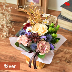 [①] zB  AWg v[g G߂̂܂  AW M t[AWg STCY  AWg j a a  Mtg N J