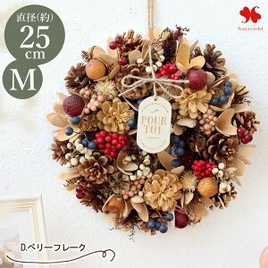 2025 V H ̃[X M a23.5`25cm  hA ֗p փhA nEB Ǌ|  v[g a a j j   \ Mtg  }V I[^