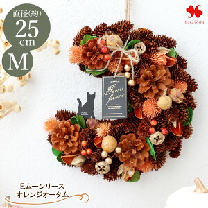 2025 H  [X M a23.5`25cm  hA ֗p փhA Ǌ|  v[g a a j j   \ Mtg  }V I[^Mtg 