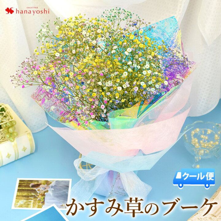 楽天市場 クール便でお届け かすみ草のブーケ カスミソウ 花束 カラフル 七夕 花 ギフト 誕生日 プレゼント 女性 母 女友達 祖母 父 フラワーギフト 生花 お誕生日 お花 ギフト 結婚祝い 結婚記念日 退職祝い 男性 送別会 お中元 暑中見舞い 送料無料 メッセージカード付