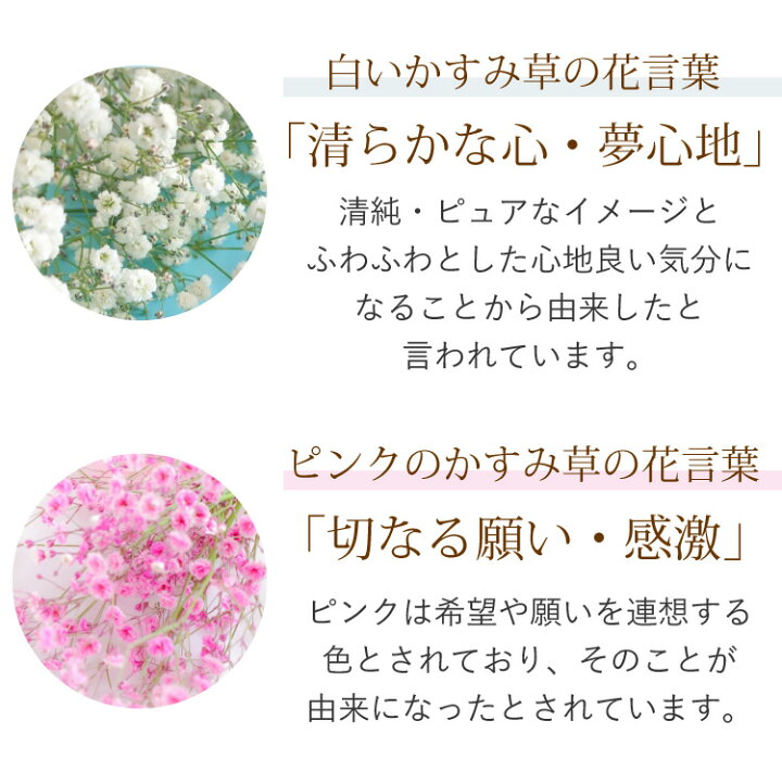 楽天市場 かすみ草のブーケs カスミソウ 花束 カラフル 花 ギフト 誕生日 プレゼント 女性 母 女友達 祖母 父 フラワーギフト 生花 お誕生日 お花 ギフト 結婚祝い 結婚記念日 退職祝い 男性 送別会 秋 送料無料 メッセージカード付 フラワーマーケット花由