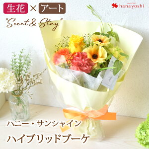 zB  ԑuԁԂ̃nCubhu[P Scent & Stayv a v[g Mtg a    u[P  j \ oG\ j  10 20 30 40 5