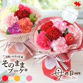 翌日配達 そのまま飾れる 花束 そのままブーケ (R) 生花 誕生日 ブーケ 花 春 プレゼント ギフト 花瓶いらず バラ お誕生日 誕生日プレゼント 女性 母 結婚祝い 退職 送別 妻 お花 お祝い 発表会 退職祝い 法人 お見舞い フラワーギフト 母の日 ギフト