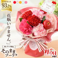翌日配達 14時〆 そのまま飾れる 花束 そのままブーケ (R) 花 母の日 誕生日 ブーケ 生花 プレゼント ギ…