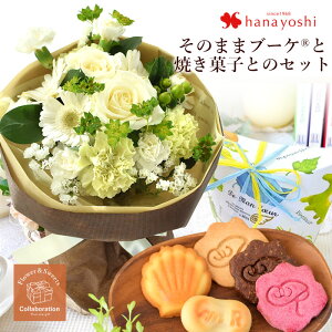 ԕr炸̉ԑ ̂܂܃u[PiRj mَqX̏ĂَqZbg sv  Mtg a v[g ԂƂَq set ԂƃXC[c Zbg   FB t[Mtg   