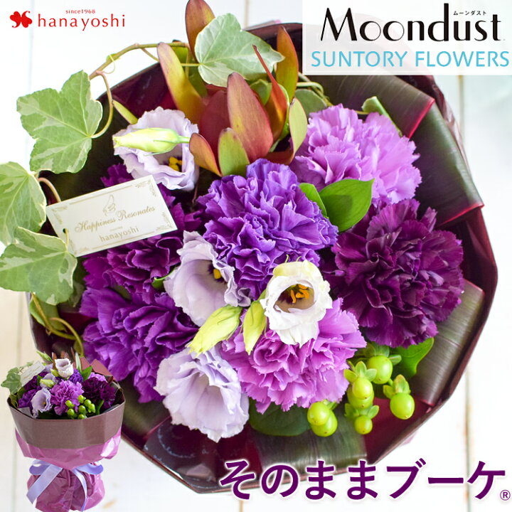 楽天市場 花瓶いらずの花束 そのままブーケwith Moondust ムーンダスト カーネーション 永遠の幸福 花言葉 花 結婚祝い お誕生日 お花 誕生日 プレゼント 女性 母 祖母 女友達 結婚記念日 妻 定年 退職祝い 花束 ギフト 卒業式 卒業祝い 先生 古希 喜寿 卒寿 お祝い