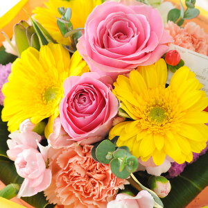 zB sv ԕr炸 ԑ ̂܂܃u[P Of(rbOTCY) NX(VTCY) ̂܂܏ u[P  a a v[g Mtg  t[Mtg 