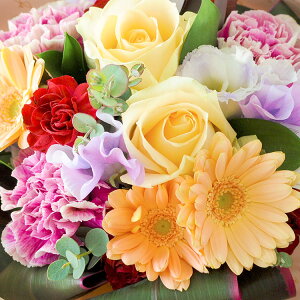 zB sv ԕr炸 ԑ ̂܂܃u[P Of(rbOTCY) NX(VTCY) ̂܂܏ u[P  a a ސE v[g Mtg  t[M