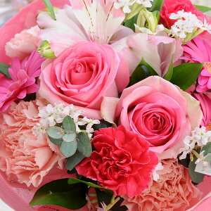 zB sv ԕr炸 ԑ ̂܂܃u[P Of(rbOTCY) NX(VTCY) ̂܂܏ u[P  a a v[g Mtg  t[Mtg 