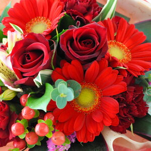 zB sv ԕr炸 ԑ ̂܂܃u[P Of(rbOTCY) NX(VTCY) ̂܂܏ u[P  a a v[g Mtg  t[Mtg 