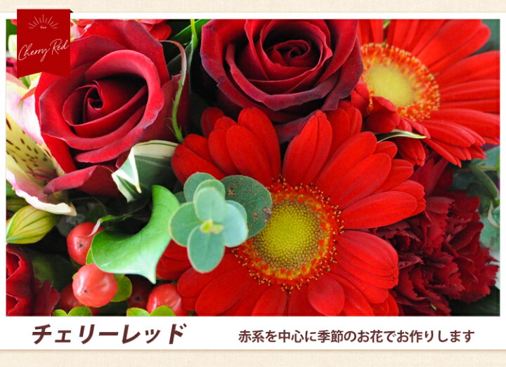 楽天市場 クール便でお届け あす楽14時まで 水かえ不要 花瓶いらずの花束そのままブーケ グランデ ビックサイズ花 誕生日 プレゼント 女性 母 祖母 花 敬老の日 結婚祝い 結婚記念日 妻 両親 定年 退職祝い 男性 父 先生 お礼 生花 還暦 古希 米寿 お誕生日 ギフト