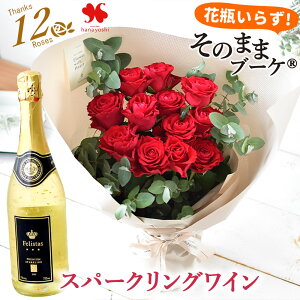 zB ԑ o s ̂܂܃u[P {W[  C Zbg  Iׂ 8{ 12{ GCg[Y _Y[Y ԕr炸 o a v[g a  u[P  M