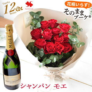 zB ԑ o s ̂܂܃u[P [U {W[  C Zbg  8{ 12{ GCg[Y _Y[Y ԕr炸 a ސE v[g a  u[P  M