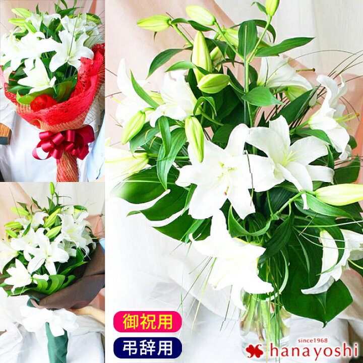 楽天市場 最高級 カサブランカの花束 ラッピングが選べます お供えとお祝いの花束 百合 ユリ 生花 お祝い 誕生日 プレゼント 女性 祖母 母 送別会 敬老の日 フラワーギフト 転勤 異動 お彼岸 お供え 花 お悔やみ 命日 一周忌 御供 品質保証 メッセージカード付き 鮮度