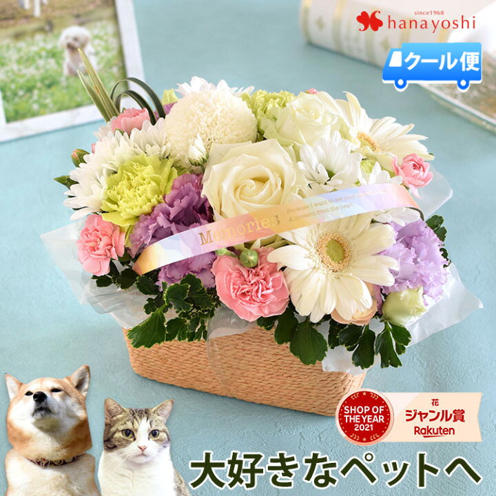 楽天市場】クール便でお届け お供え ペット 花 ペットに贈るお供え生花アレンジメント「ciel-シエル」御供 虹の橋 ペット供養 お供え お悔やみ お花 お供え花 法事 お供え物 一周忌 三回忌 命日 花 ペットロス 喪中見舞い 花 ギフト お盆 お彼岸 即日発送 [冷蔵便 ... 楽天市場】クール便でお届け お供え ペット 花 ペットに贈るお供え生花アレンジメント「ciel-シエル」御供 虹の橋 ペット供養 お供え お悔やみ お花 お供え花 法事 お供え物 一周忌 三回忌 命日 花 ペットロス 喪中見舞い 花 ギフト お盆 お彼岸 即日発送 [冷蔵便 ...
