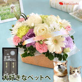 楽天市場 お供え ペット 花 ガーデン Diy の通販 楽天市場 お供え ペット 花 ガーデン Diy の通販