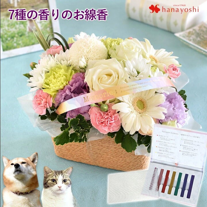 蛇行 コーラス 段階 お盆 花 贈る Lock69 Jp