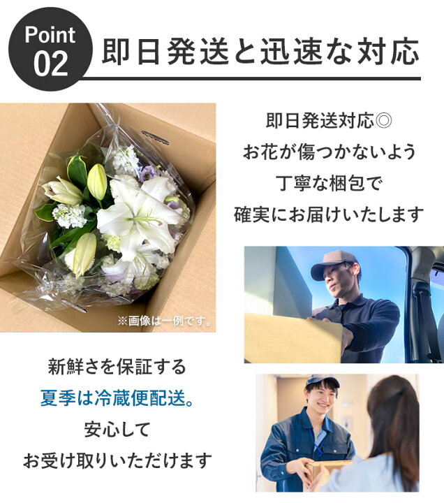 楽天市場】＼月間MVP受賞☆P2倍／[冷蔵便]でお届け 翌日配達 14時〆  