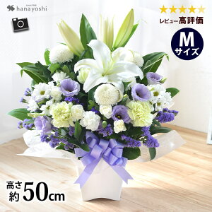 [①] zB   AWg  MTCY E[\ÑZbg  Zbg t[AW     낤 蕨 Mtg @ @