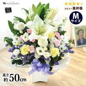 zB   Zbg ԃAWg MTCY4  Ԃ̃Zbg   t[AW  Zbg  @ @v   Mtg  