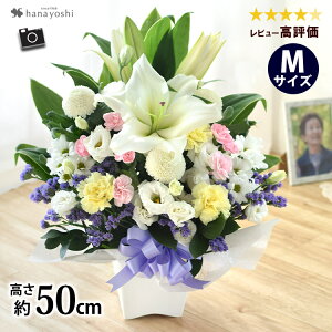 zB   AWg  MTCY E[\ÑZbg  Zbg t[AW     낤 蕨 Mtg @ @v  