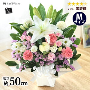 zB   AWg  MTCY E[\ÑZbg  Zbg t[AW     낤 蕨 Mtg @ @v  