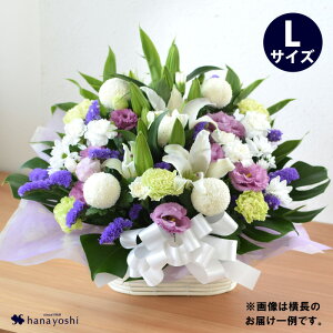 zB     AWg LTCY  E [\N ̃Zbg 낤   AW 蕨   @ l\ @v  m a 